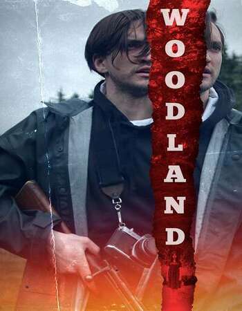 Woodland 2020