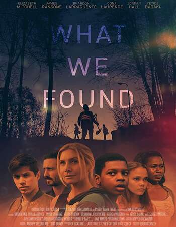 What We Found 2020