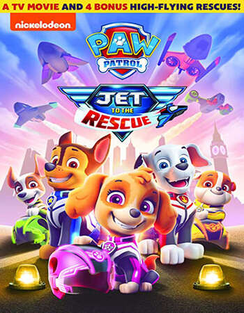 Paw Patrol Jet to the Rescue 2020