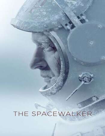 Spacewalker 2020